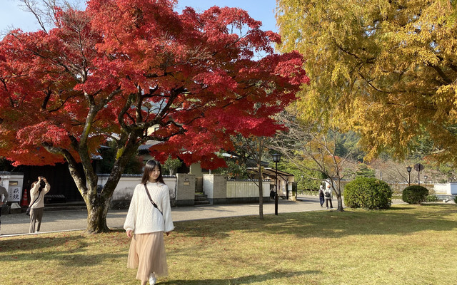 日本小众目的地 山口县3晚4天追枫之旅 山口县游记攻略 携程攻略