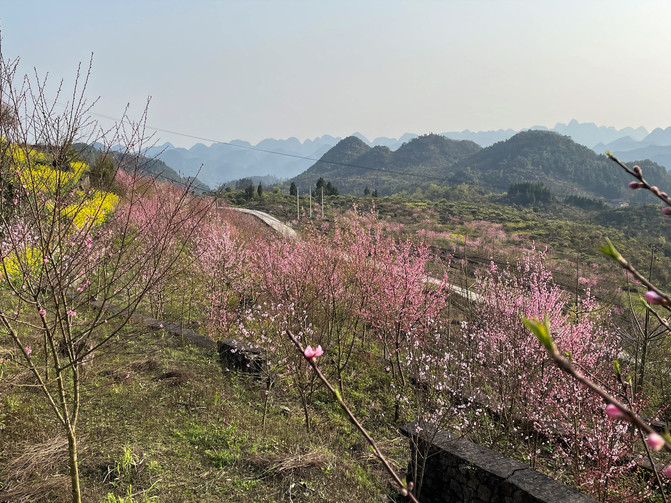 昆明旅游网