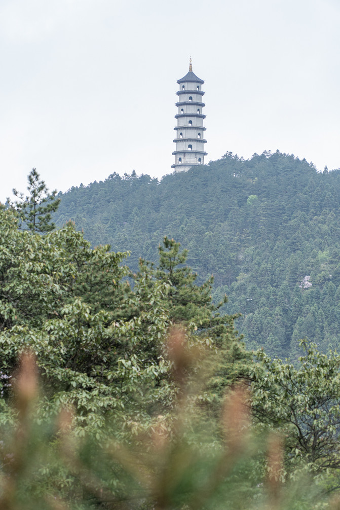 在青山绿水美景中传承红色记忆_井冈山市游记_途牛