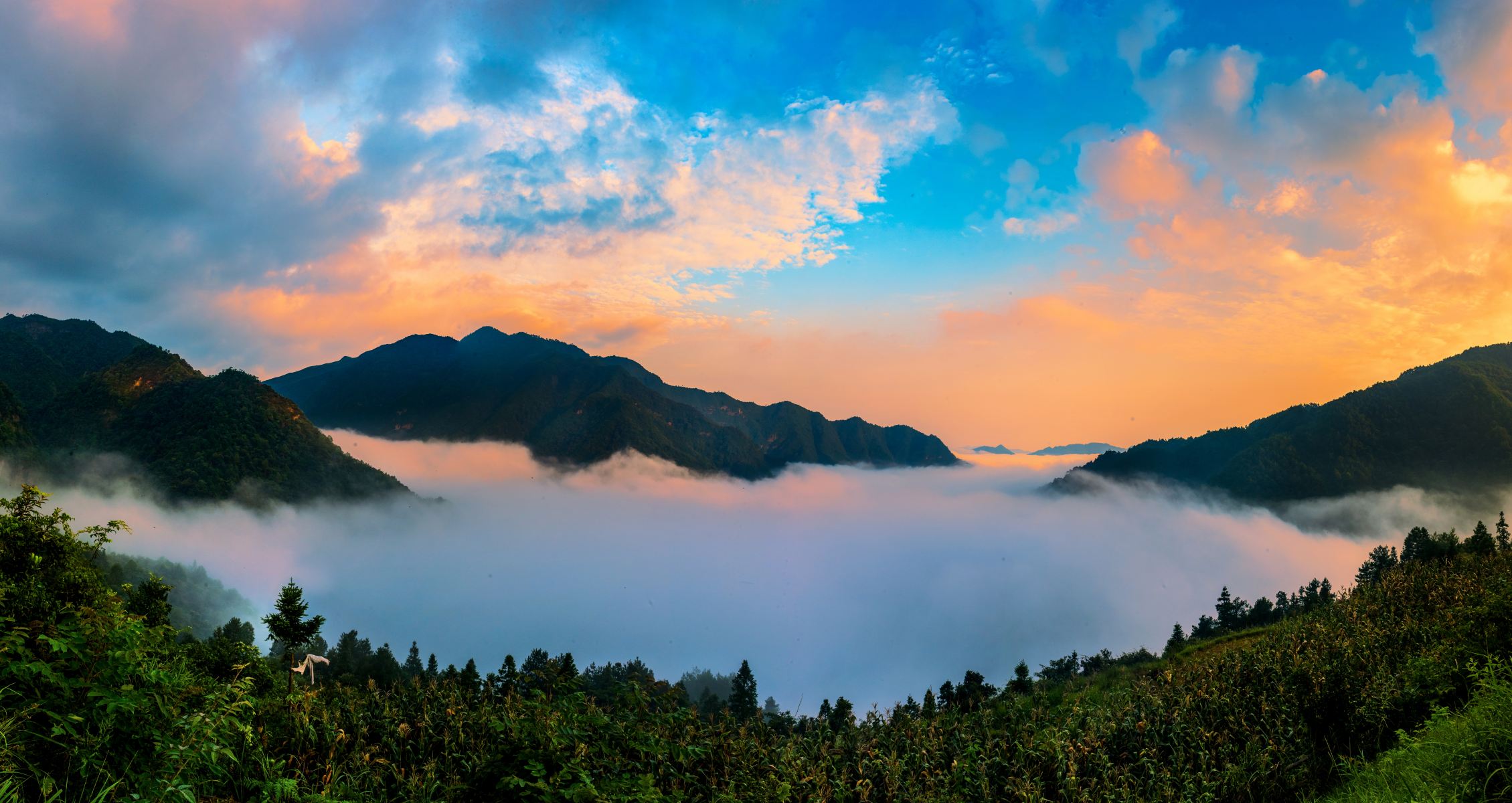 Foding Mountain Ecological Tourist Area