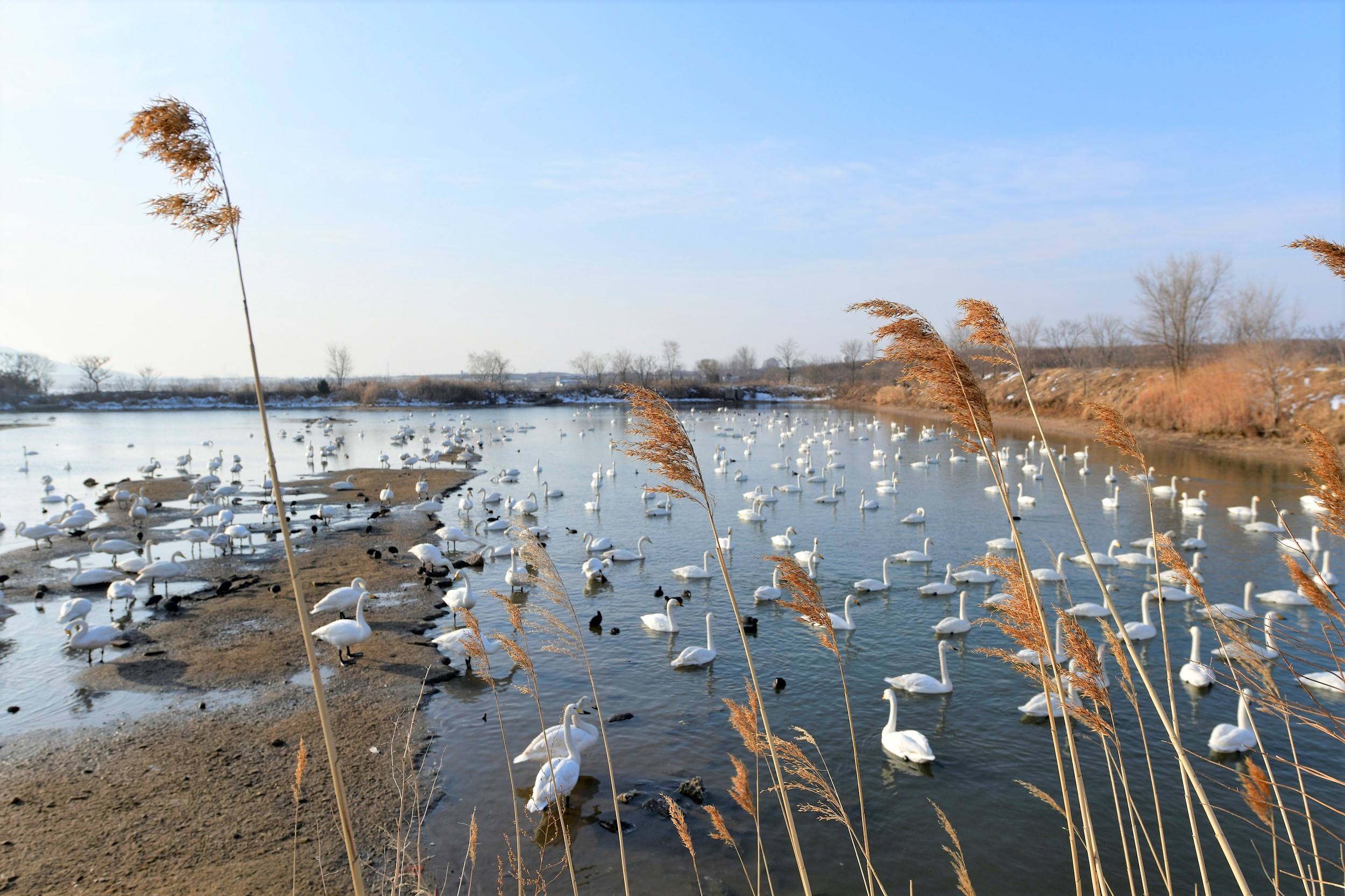 2-Day Weihai Tour: Liugong Island's historical charm, Weihai Happiness Gate's coastal allure
