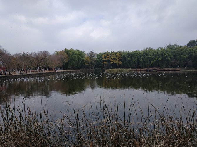 昆明旅游网