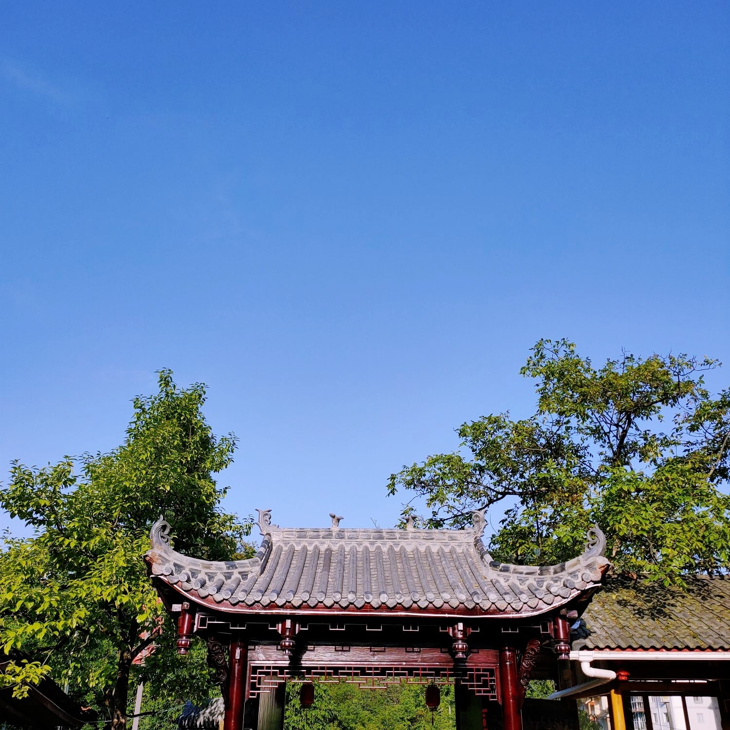 彭州熊猫香山攻略-熊猫香山门票价格多少钱-团购票价预定优惠-景点