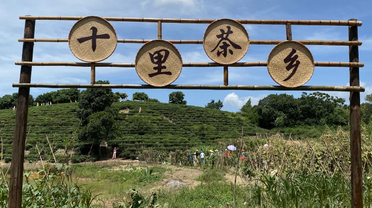 鶴山十里茶香茶場攻略-十里茶香茶場門票價格多少錢-團購票價預定優惠