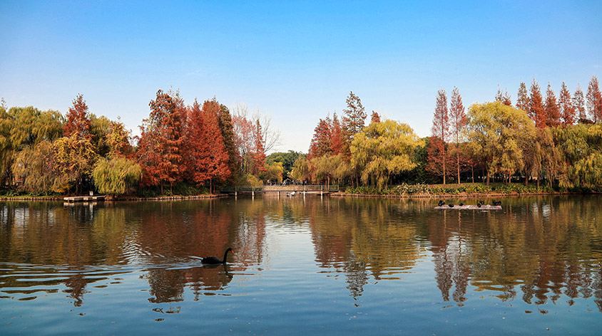 上海野生动物园(Shanghai Wild Animal Park)