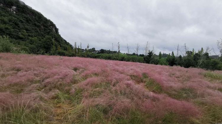 贵阳花溪青岩浪漫谷攻略-花溪青岩浪漫谷门票价格多少钱-团购票价预定