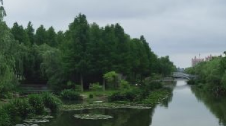 启东江海清风园游玩攻略 江海清风园门票多少钱 价格表 团购票价预定优惠 景点 地址在哪里 图片介绍 参观预约 旅游游览顺序攻略及注意事项 营业时间 携程攻略