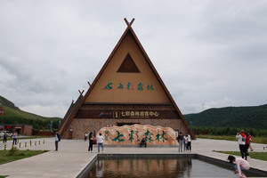 坝上游记图文-体验浪漫童话世界，去七彩森林看坝上绝美风景