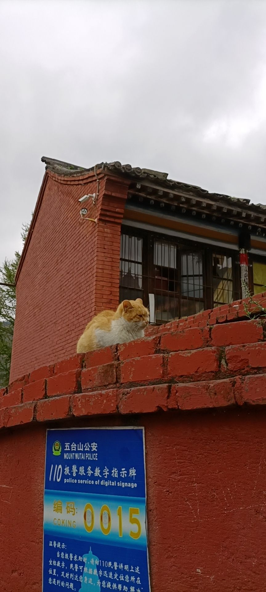 2024黛螺顶游玩攻略,大家一定记得,爬上去 爬上去... 【去哪儿攻略】