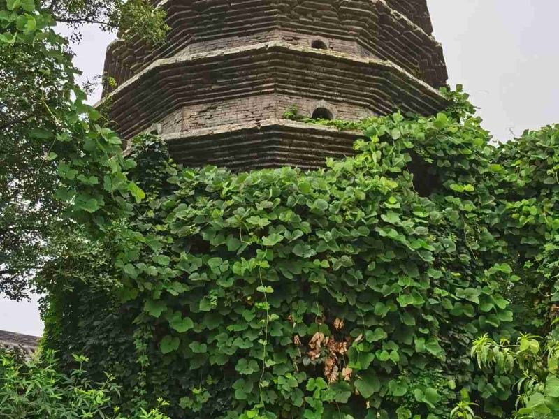 1/ 1 西明寺 襄阳市襄城区向阳路十家庙村4组中国唐城景区内 乘坐344