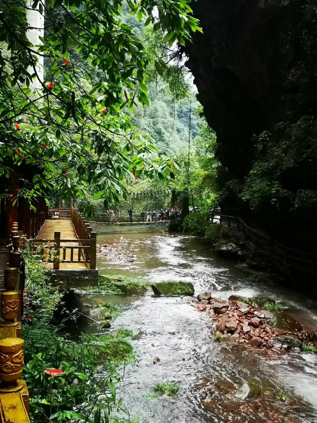 【攜程攻略】雅安碧峰峽景點,雅安碧峰峽景區,熊貓雖然不多,大致十幾