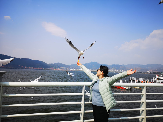 昆明旅游网