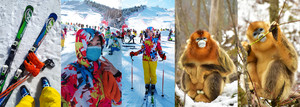 神农架游记图文-冰雪神农架滑雪游，邂逅了美丽的金丝猴