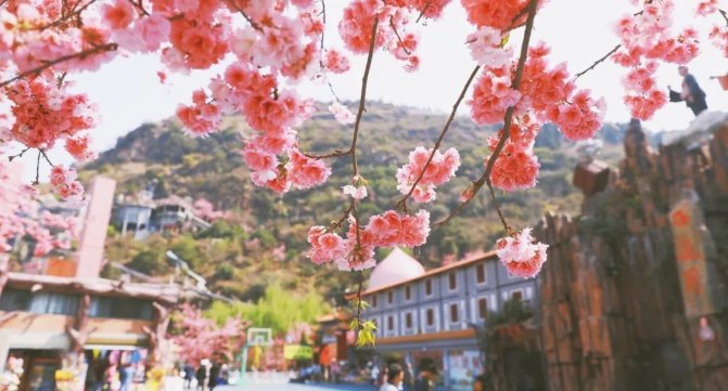 昆明旅游网