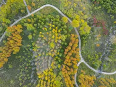 赫章2日遊：畢節的文化遺產、草海濕地與韭菜坪山