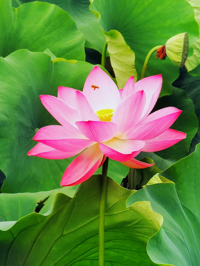 昆明旅游网