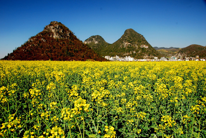 昆明旅游网