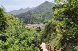 3-Day Foping County Tour: Explore the Panda Reserve and Qinling Museum, enjoy Changqing Huayang Scenic Spot