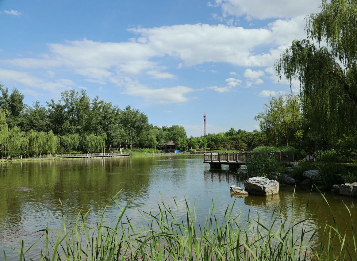 【攜程攻略】通州區大運河森林公園適合朋友出遊旅遊嗎,大運河森林