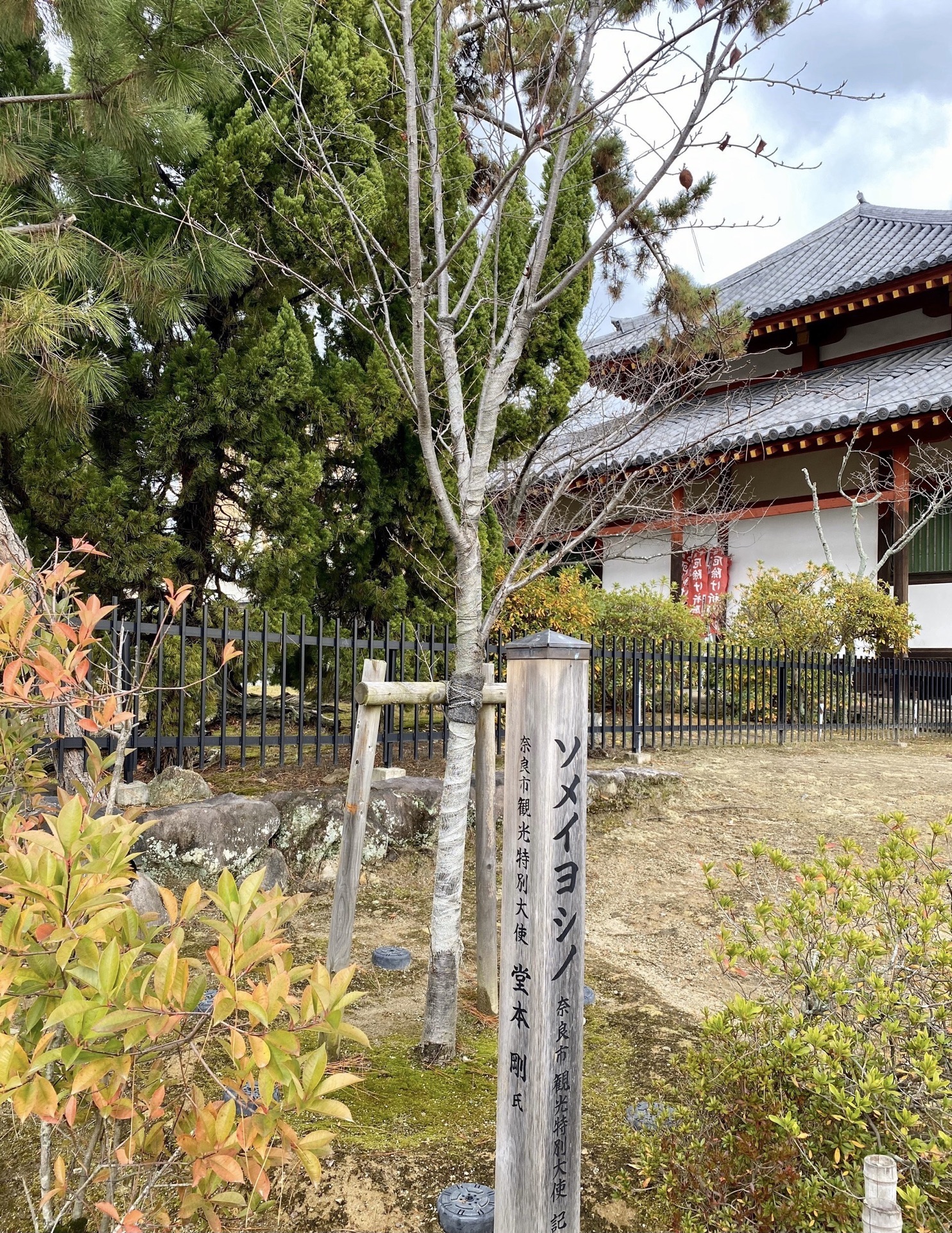 【携程攻略】奈良西大寺景点,非常不错的一个地方,这里的面积也比较的