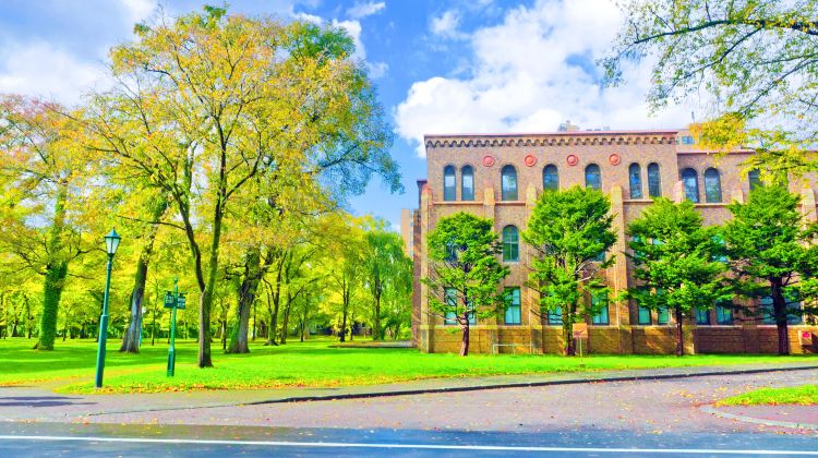 札幌北海道大学攻略 北海道大学门票价格多少钱 团购票价预定优惠 景点地址图片 携程攻略