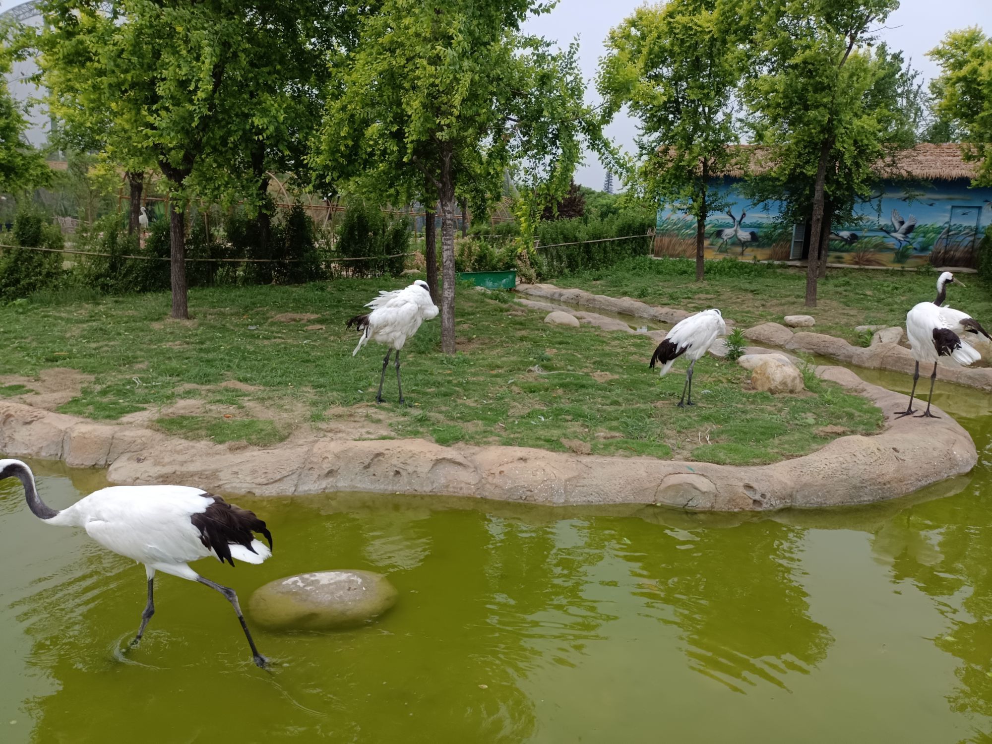 周口野生动物世界