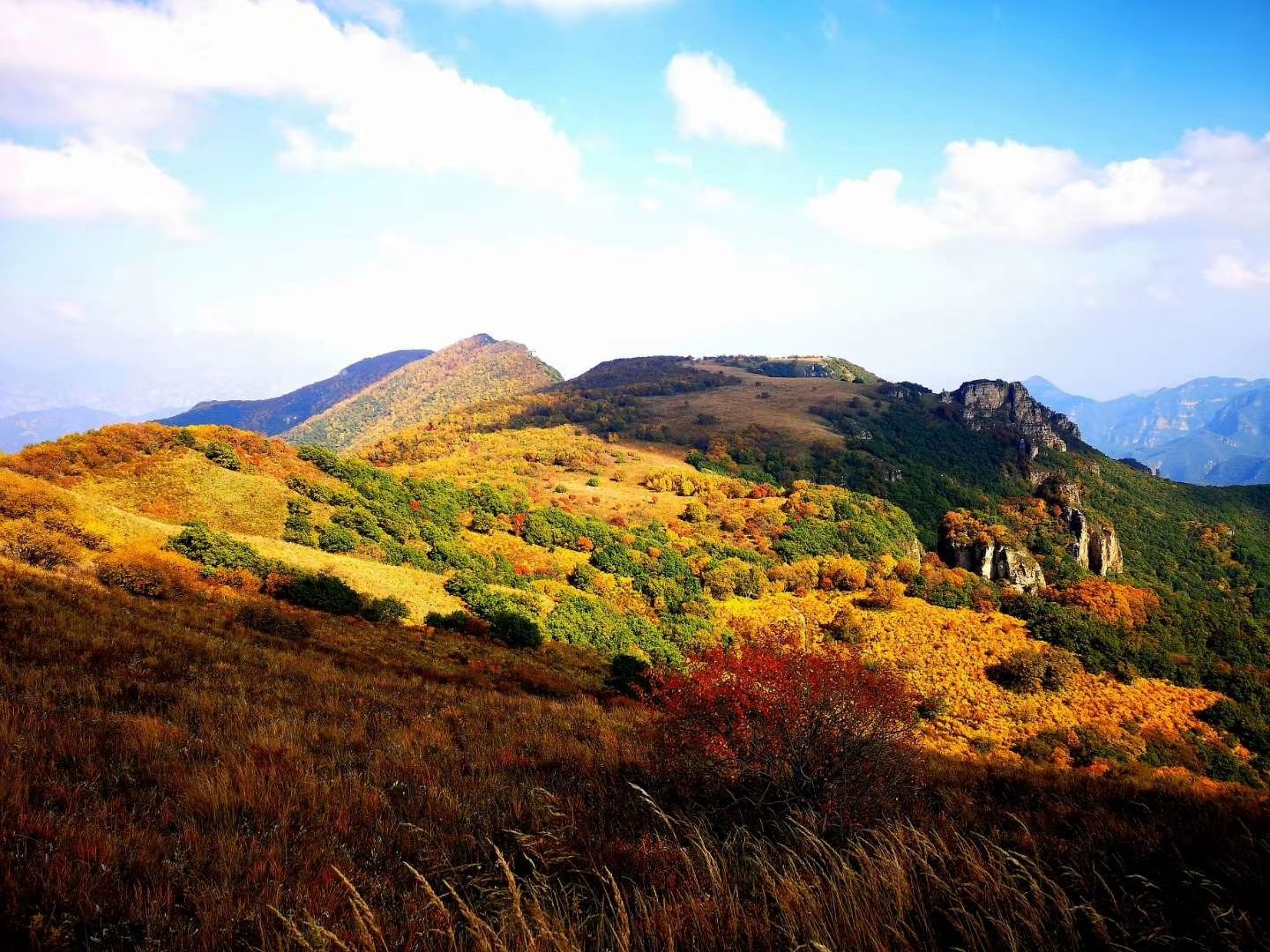 风景区景点,黄草梁自然风景区,位于北京市门头沟区斋堂镇北14公里处