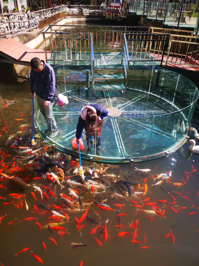 昆明旅游网