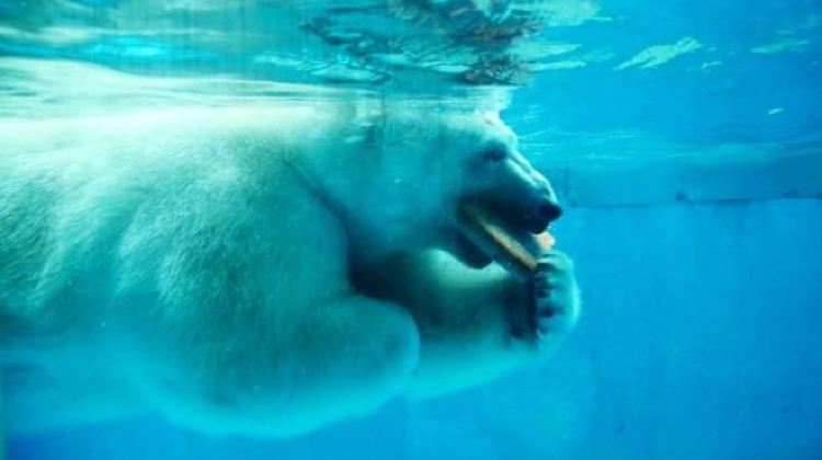 全国跨区域单日流动超3----2亿人次彰显春节期间经济社会活力