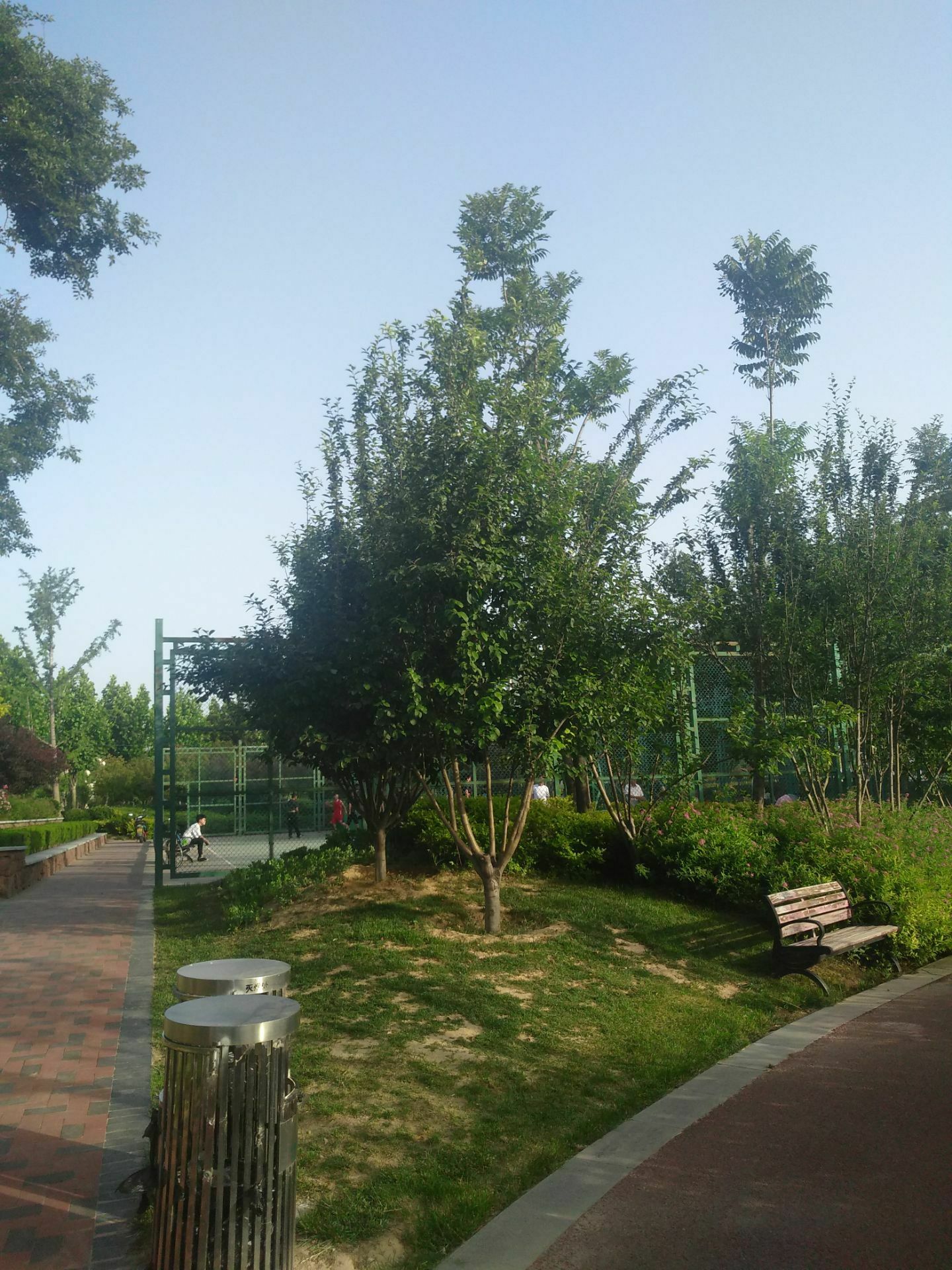 梅河公园 5.0分  点评 直线距离5.9km