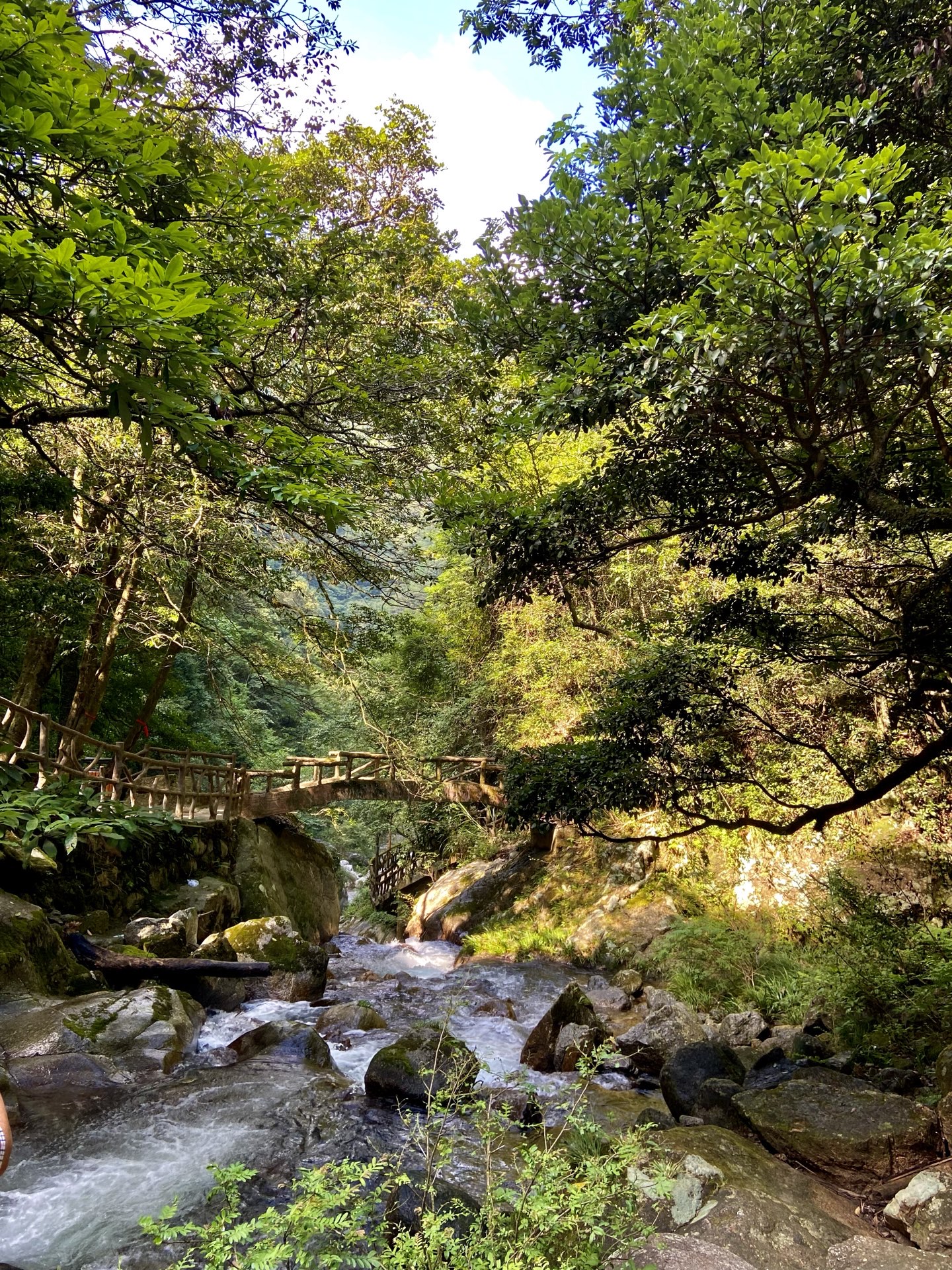 炎陵神农谷国家森林公园好玩吗,炎陵神农谷国家森林公园景点怎么样