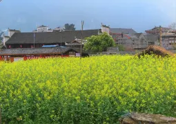 2-Day Jiangkou Tour: Mount Fanjing's wonderland, Ancient Miaos Village's charm