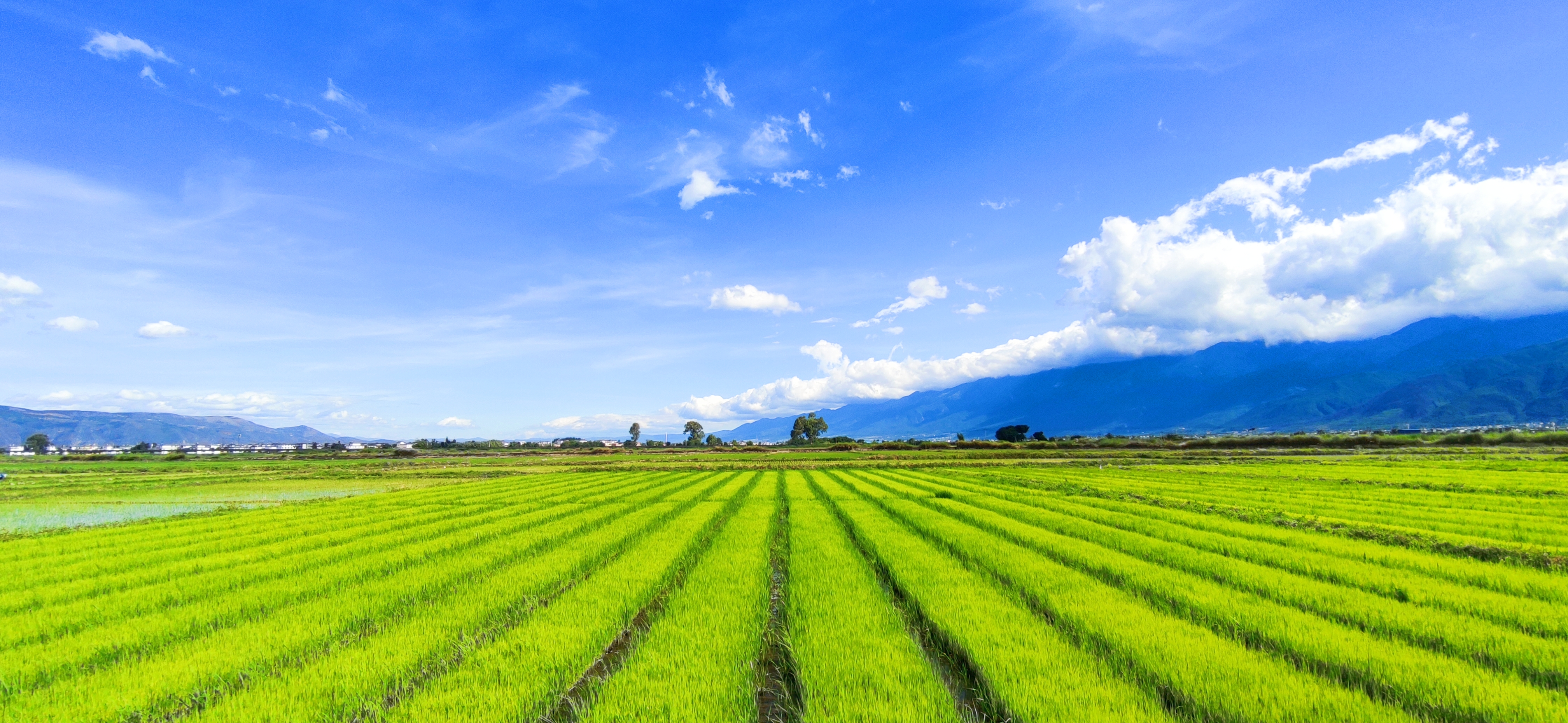 洱海生态廊道 大理人的福利