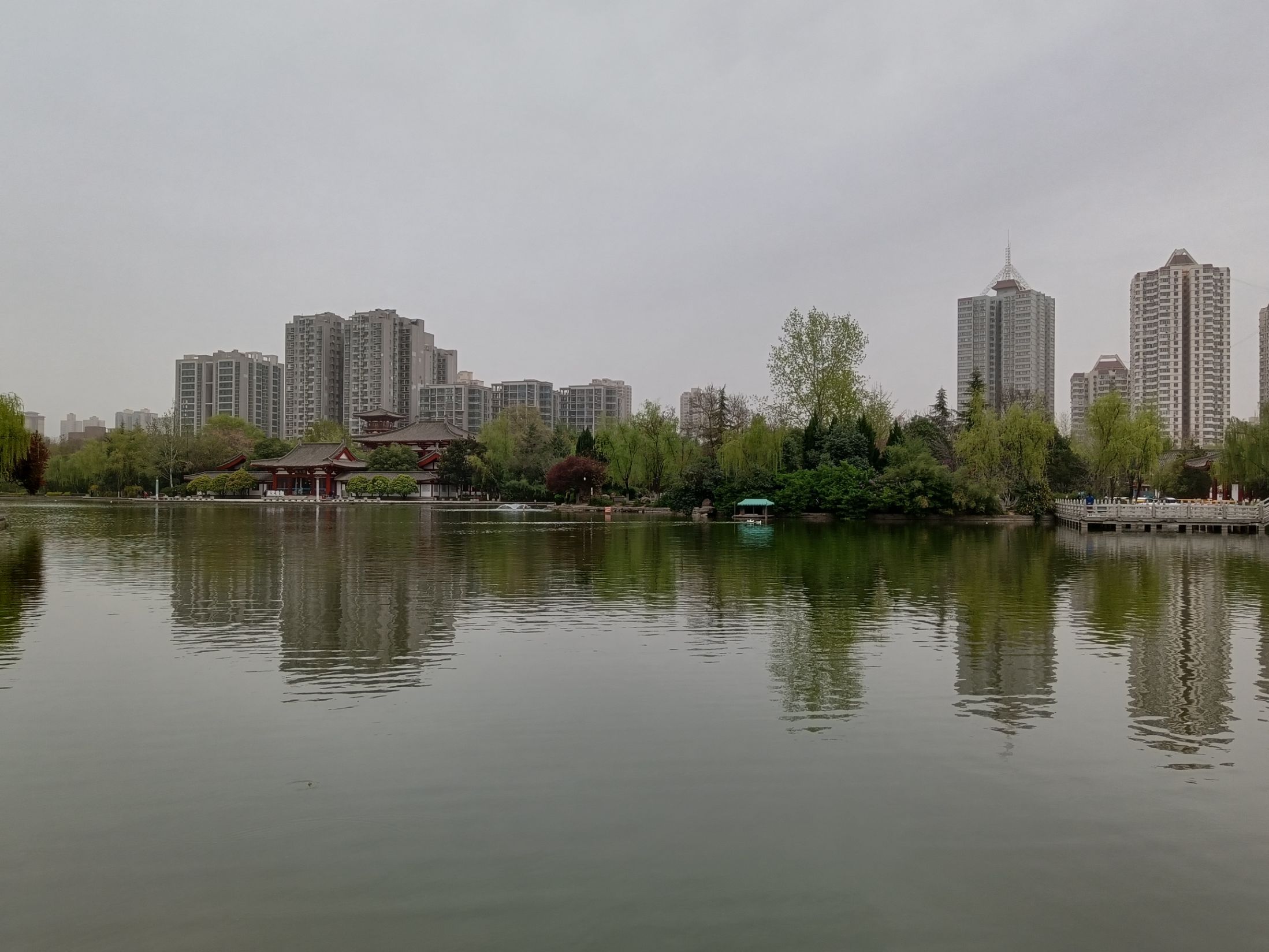 【携程攻略】西安丰庆公园景点,丰庆公园公园四周围都是高楼，只有这里种满树木，绿树成荫，宽阔的湖…