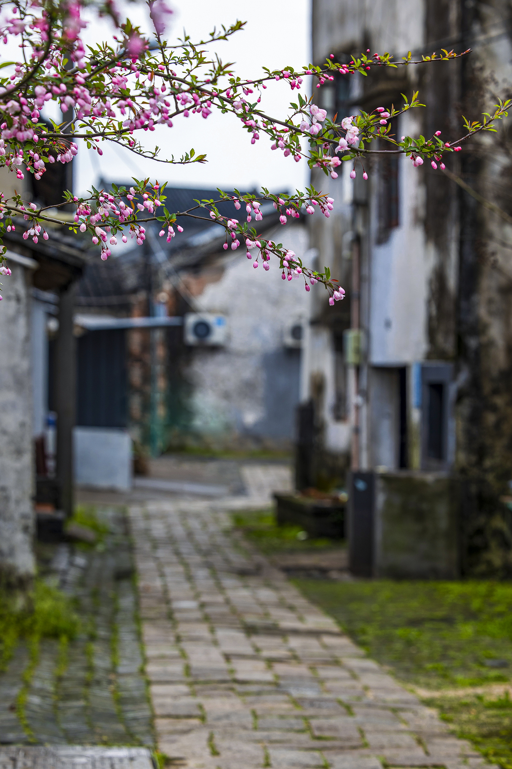 1-Day Kunshan Tour: The Splendor of Zhouzhuang, Ancient Charm of Jinxi