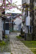 1-Day Kunshan Tour: The Splendor of Zhouzhuang, Ancient Charm of Jinxi