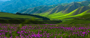 和田地区游记图文-新疆旅游景点景区介绍