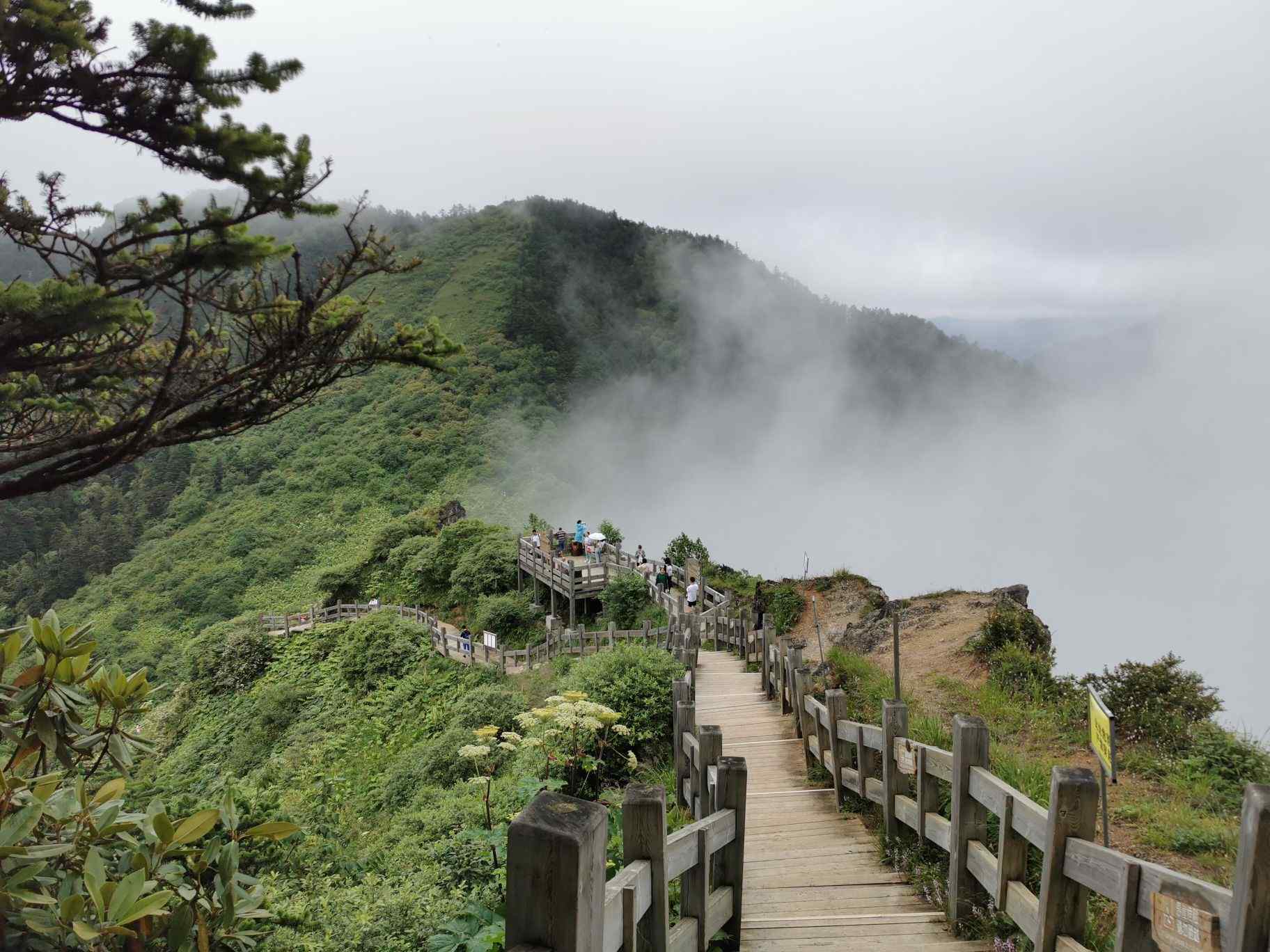 第一次去,希望各位幫助,以及避坑指南,謝謝-西嶺雪山旅遊問答 【攜程