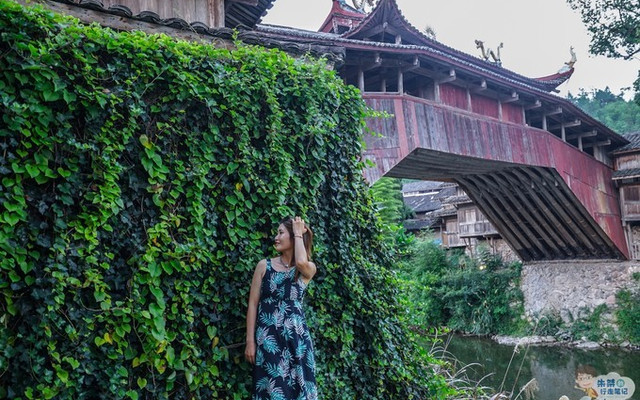 泰顺|一个处处有“廊桥”的地方，藏着数不尽的故事
