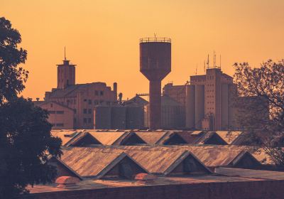 Lusaka