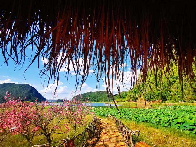 昆明旅游网