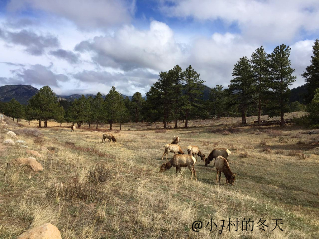 高原上的女王城 绿荫山涧的青春小镇aspen 深度解析神秘的科罗拉多州旅行攻略 二 丹佛游记攻略 携程攻略