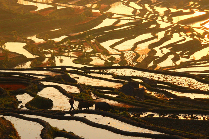 昆明旅游网