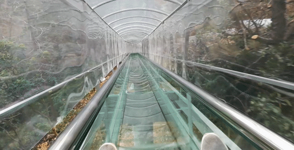 昆明旅游网