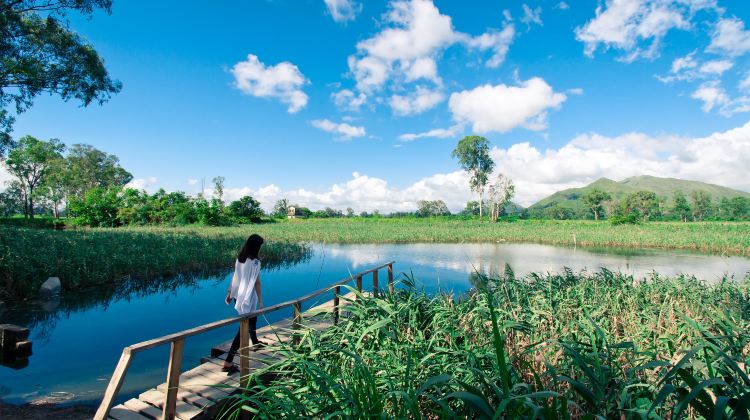 香港湿地公园