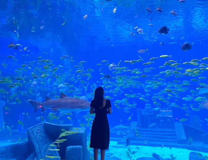 昆明旅游网