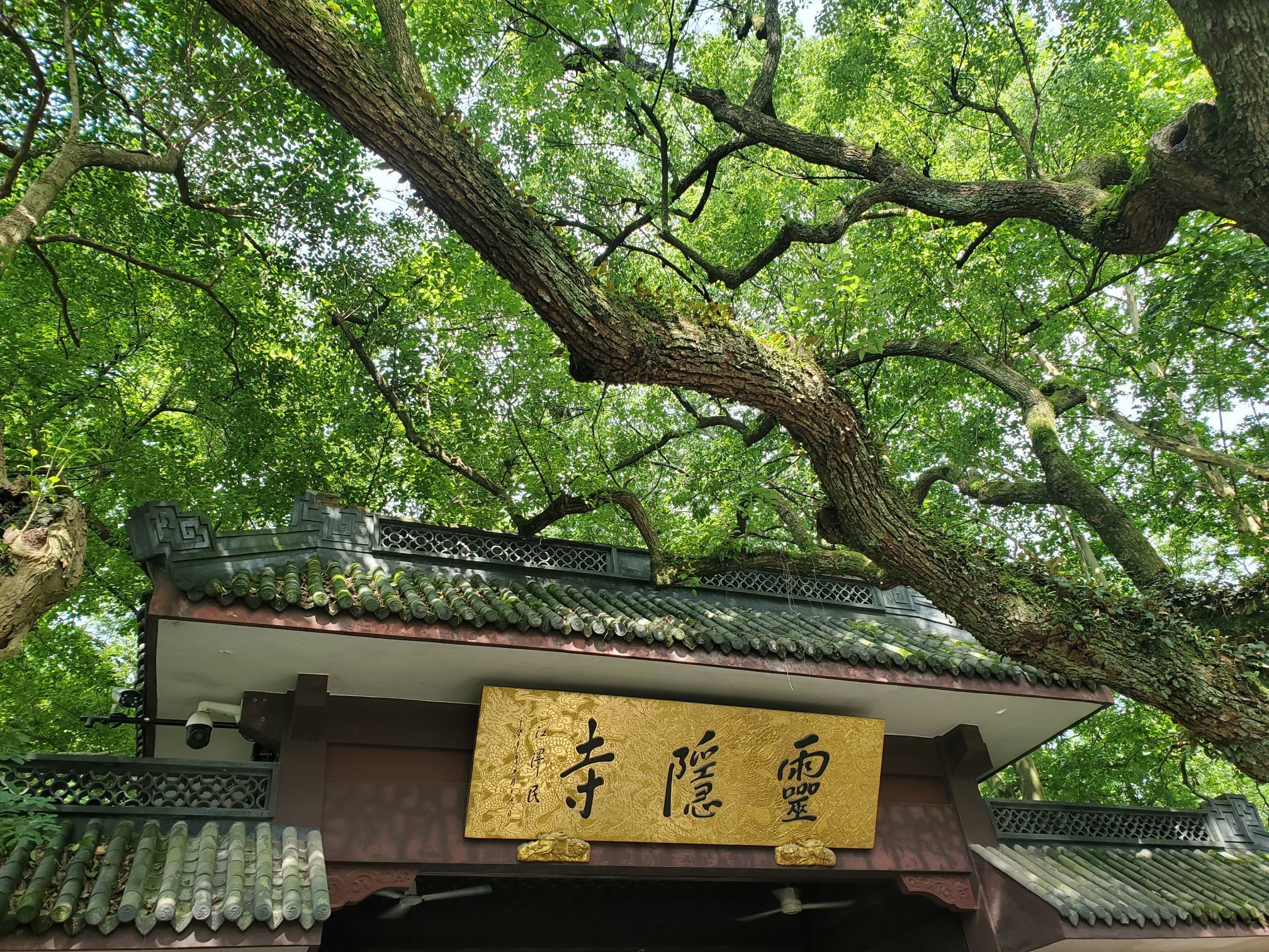 杭州靈隱寺好玩嗎,杭州靈隱寺景點怎麼樣_點評_評價【攜程攻略】