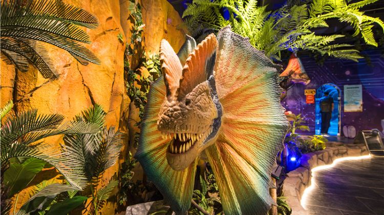 哈尔滨极地公园恐龙馆