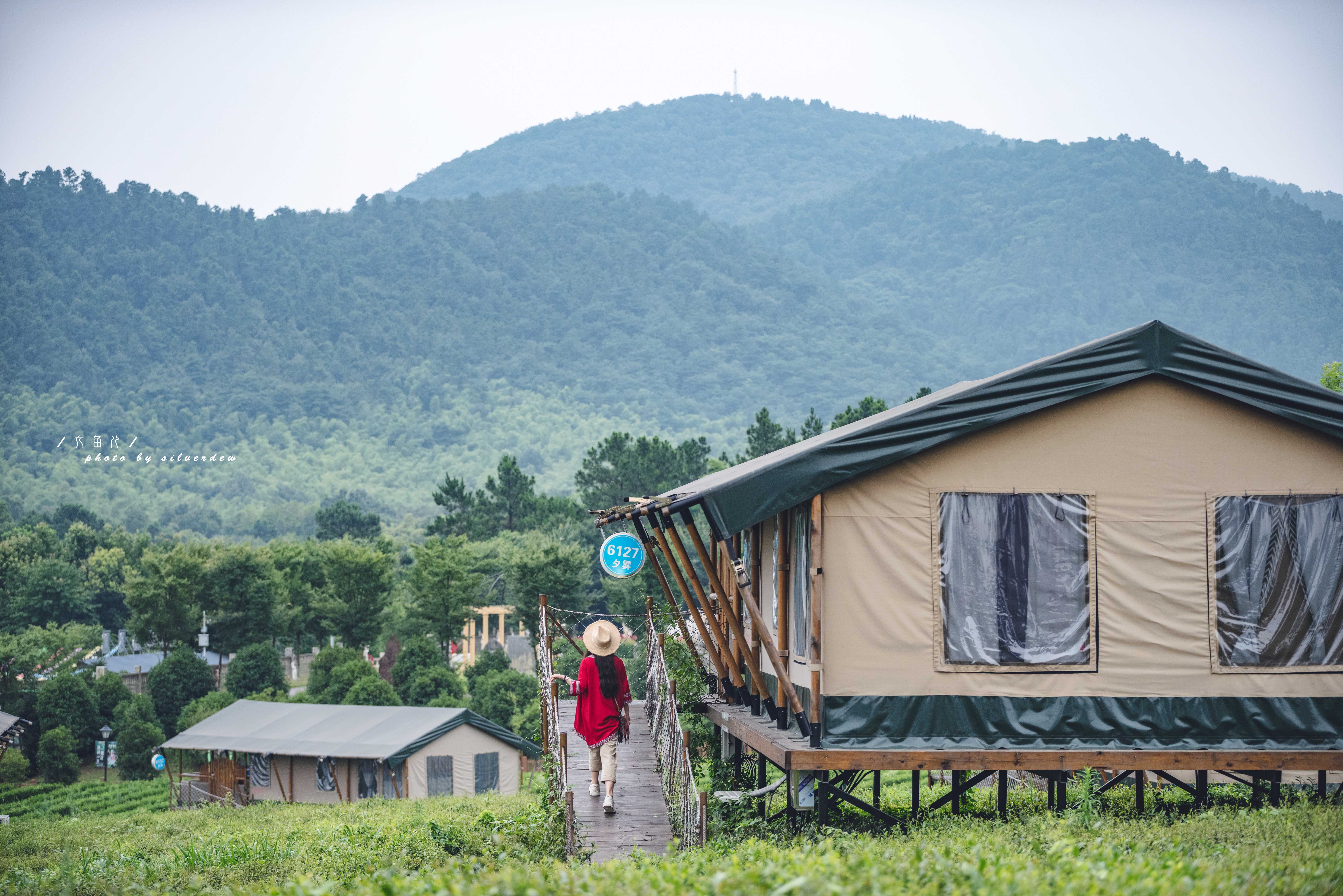 江苏避暑地茅山宝盛园睡在竹海漂进丛林清凉一夏超强攻略