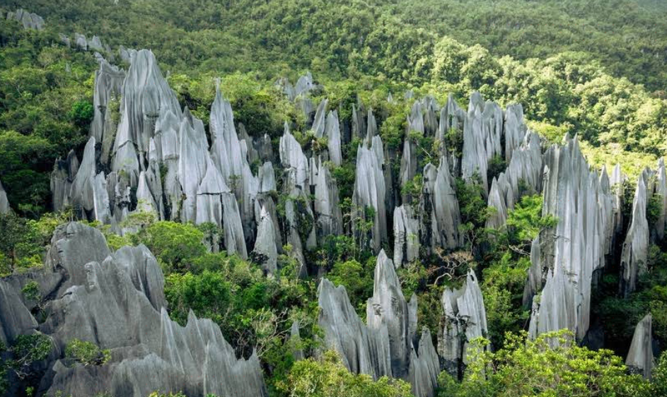 姆鲁山国家公园mulu Skywalk游玩攻略 Mulu Skywalk门票多少钱 价格表 团购票价预定优惠 景点地址在哪里 图片介绍 参观预约 旅游游览顺序攻略及注意事项 营业时间 携程攻略